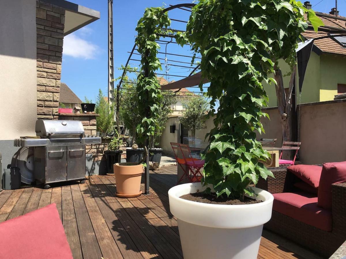 La Terrasse Selestadienne Sélestat Extérieur photo
