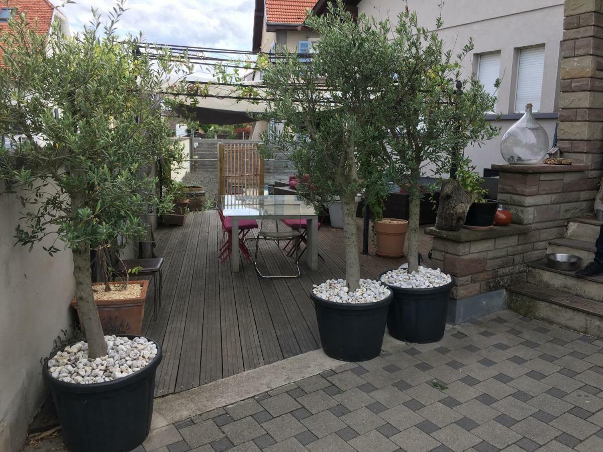 La Terrasse Selestadienne Sélestat Extérieur photo
